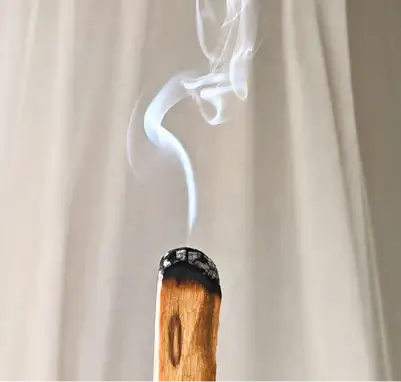 Burning Palo Santo stick emitting aromatic smoke for spiritual cleansing and meditation.