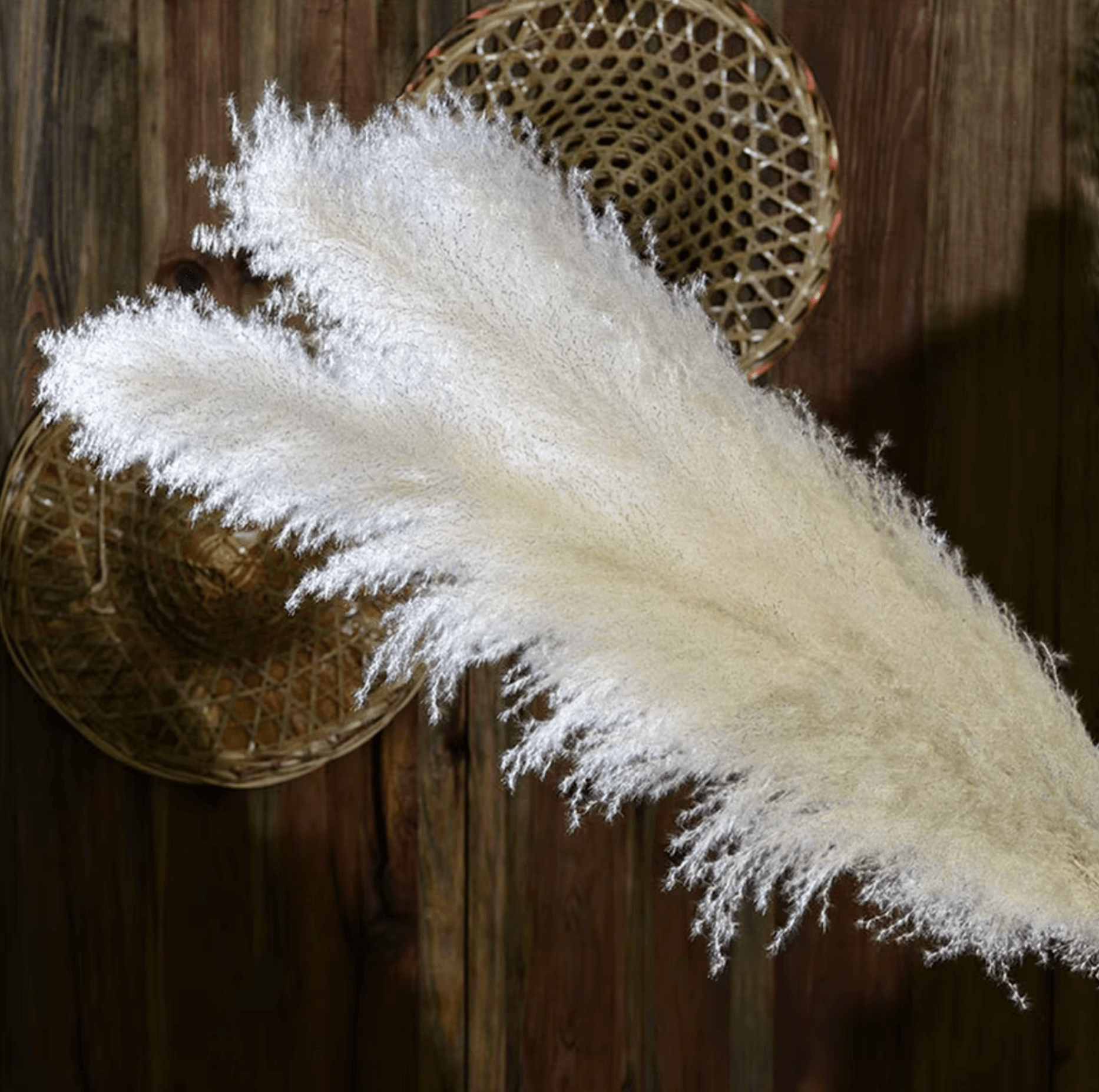 Natürliche Pampasgras-Dekoration, verleiht Räumen Boho-Charme und zeitlose Eleganz, luxuriöse Wohnaccessoires.