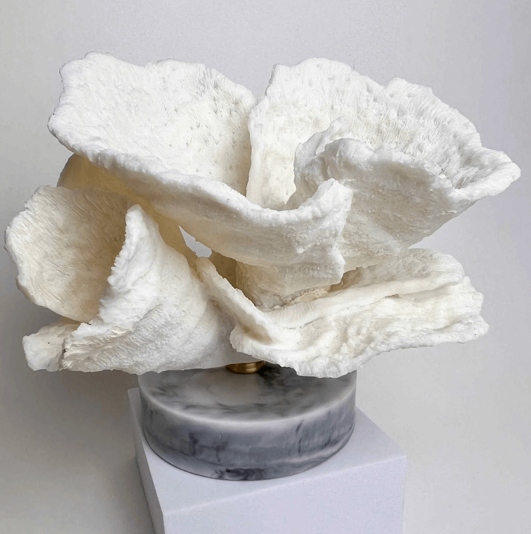 Korallenornament auf Marmorsockel, inspiriert von der Eleganz der Tiefsee. Filigrane, gefrorene Natur in minimalistischem Design.