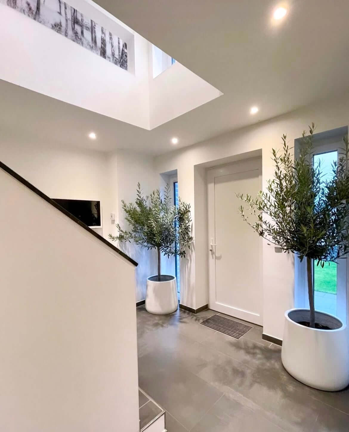 Modern interior with artificial olive trees enhancing a minimalist decor in a bright hallway.