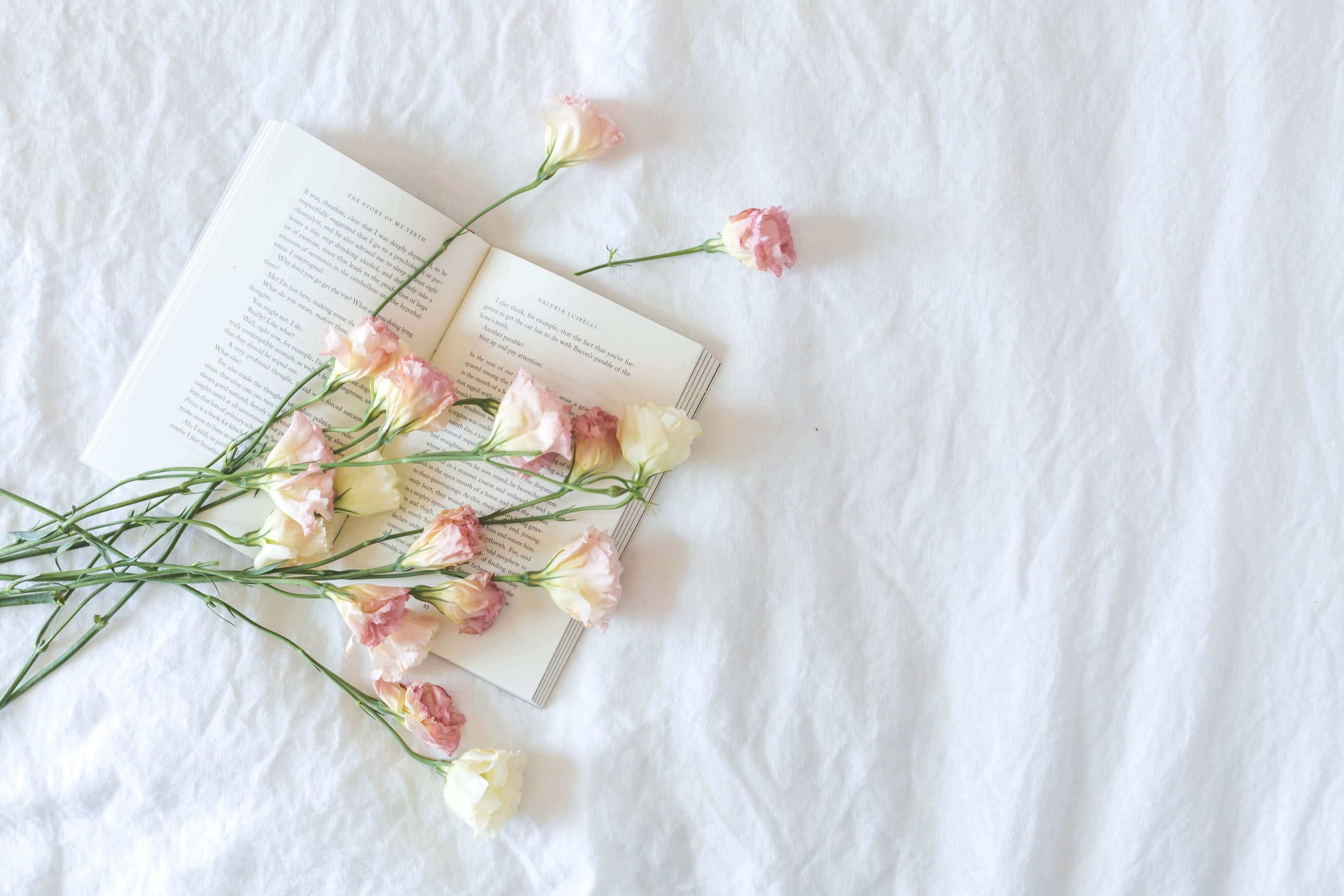 Open book with delicate pink flowers on a white bedspread. Relaxing scene for book lovers 📚🌸