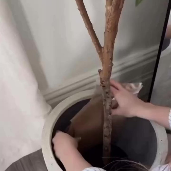 Person potting a realistic artificial olive tree in a modern indoor planter.